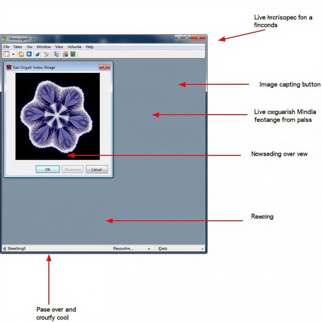 Amscope Software Interface