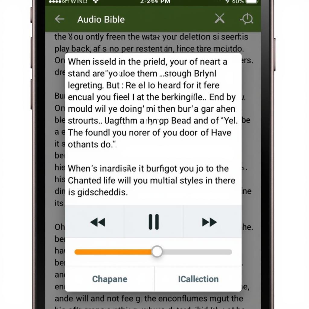 Audio Bible App Screenshot