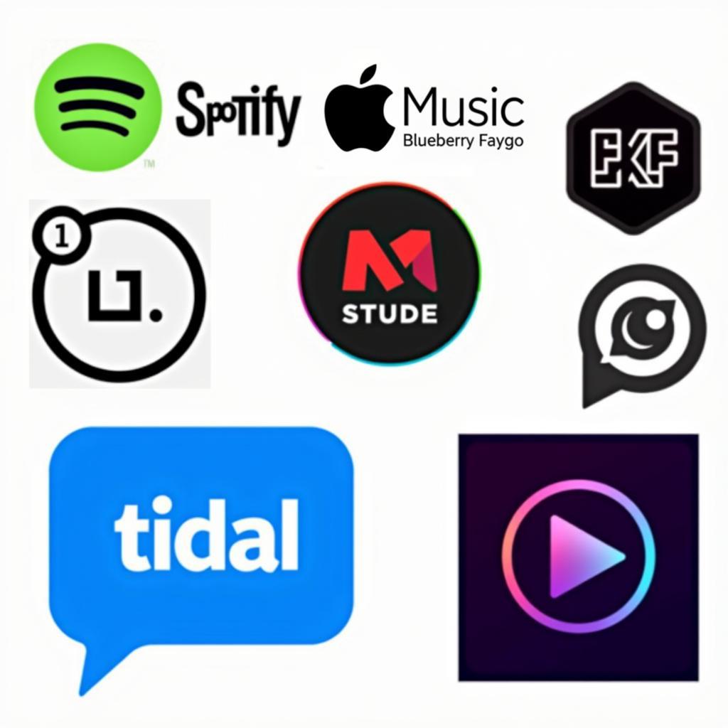 Music Streaming Platforms