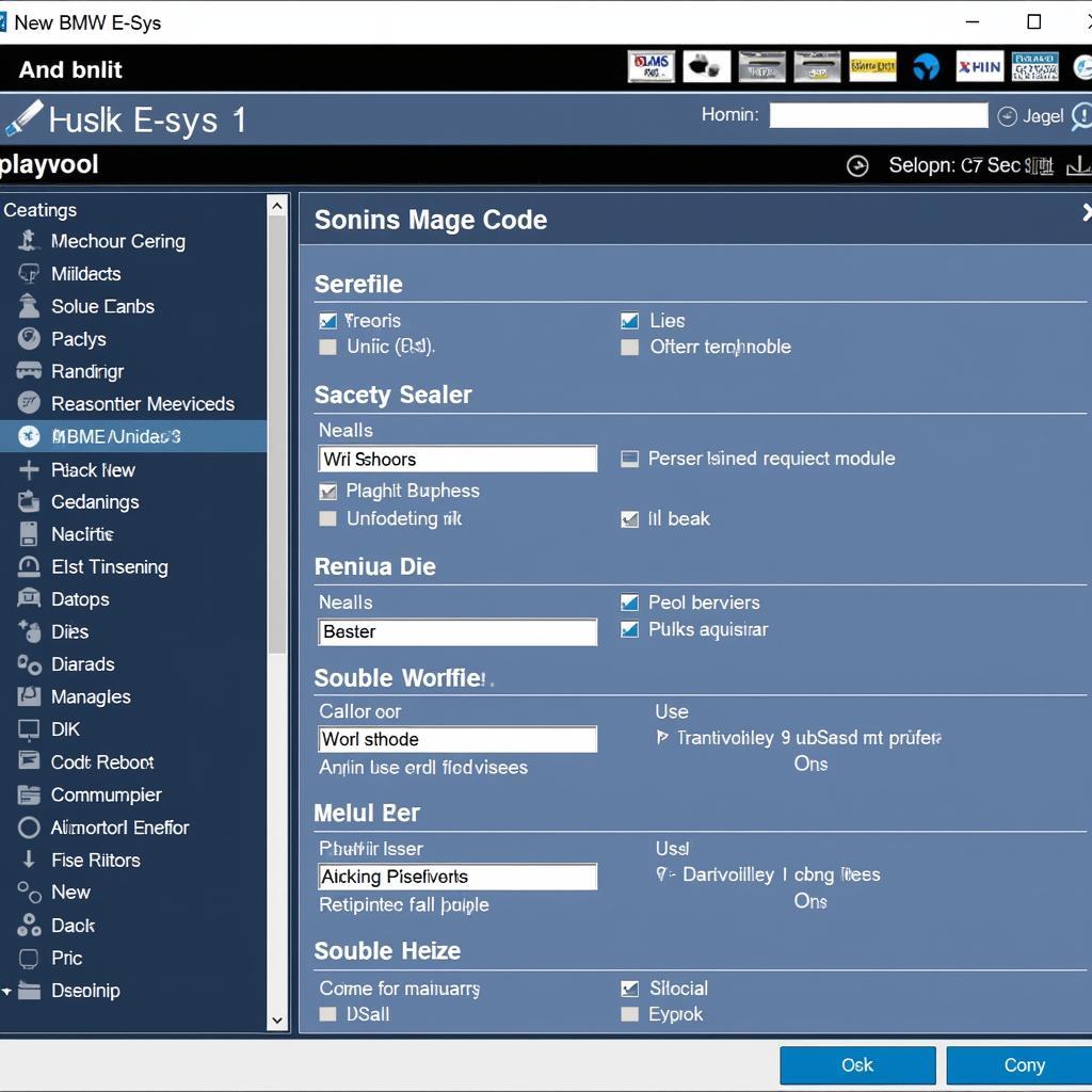 BMW E-Sys Software Interface