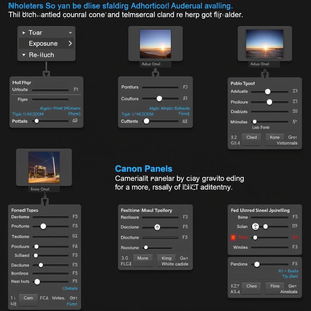 Canon DPP Editing Features