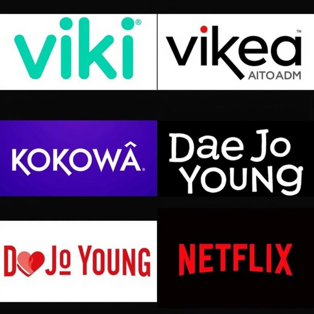 Streaming Platforms for Dae Jo Young