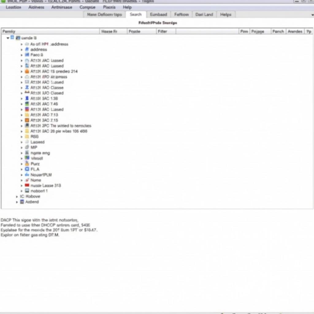 DHCP Explorer Interface