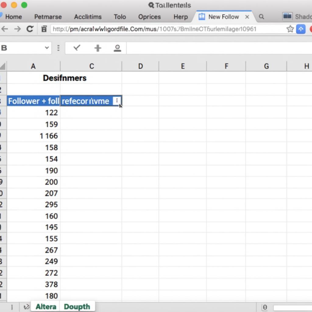 IG Follower Export Analysis