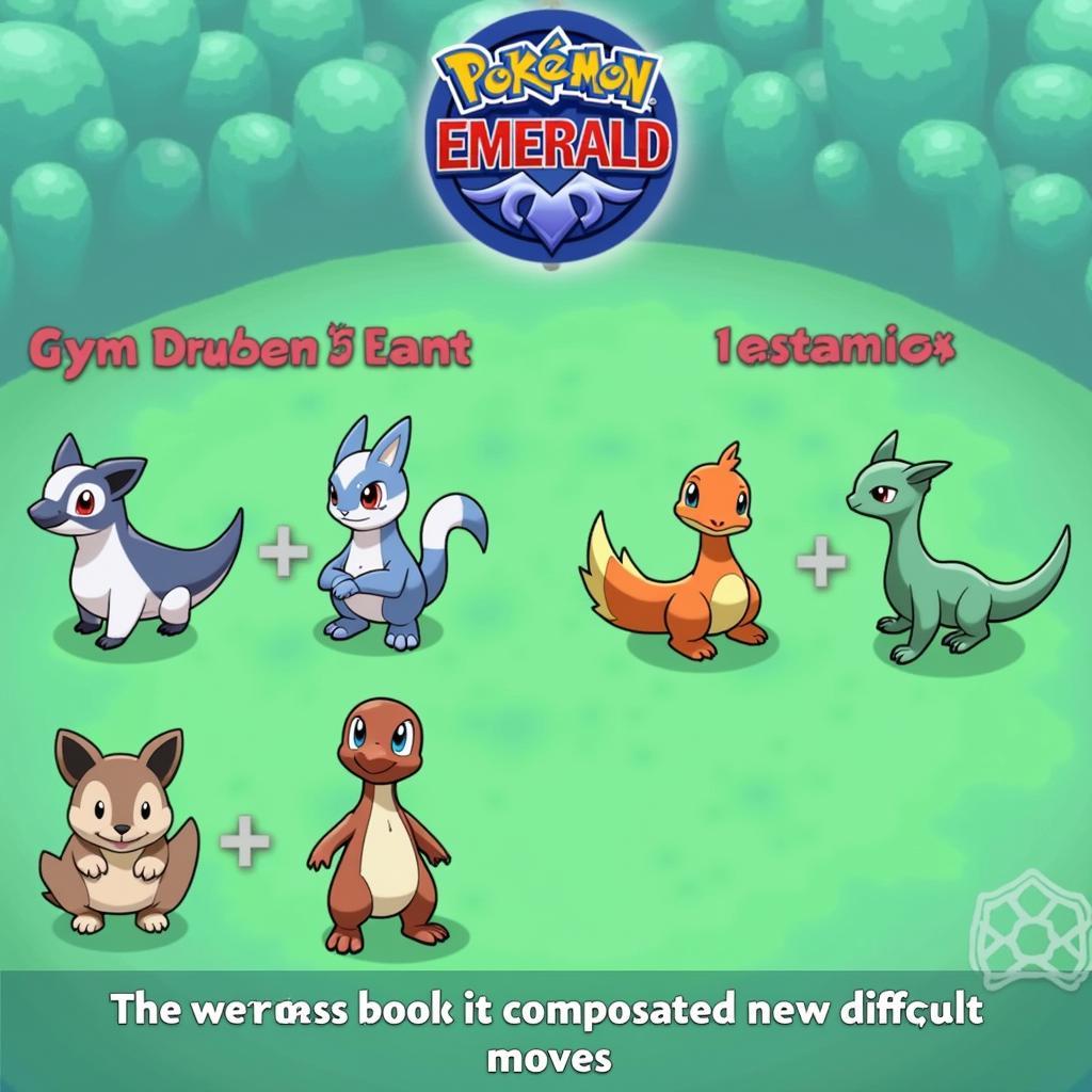 Challenging Gym Leader Battle in Inclement Emerald