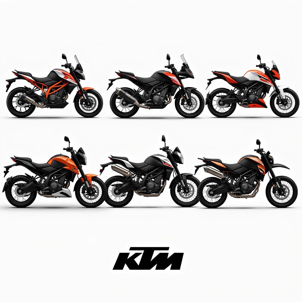 KTM Motorcycle Models