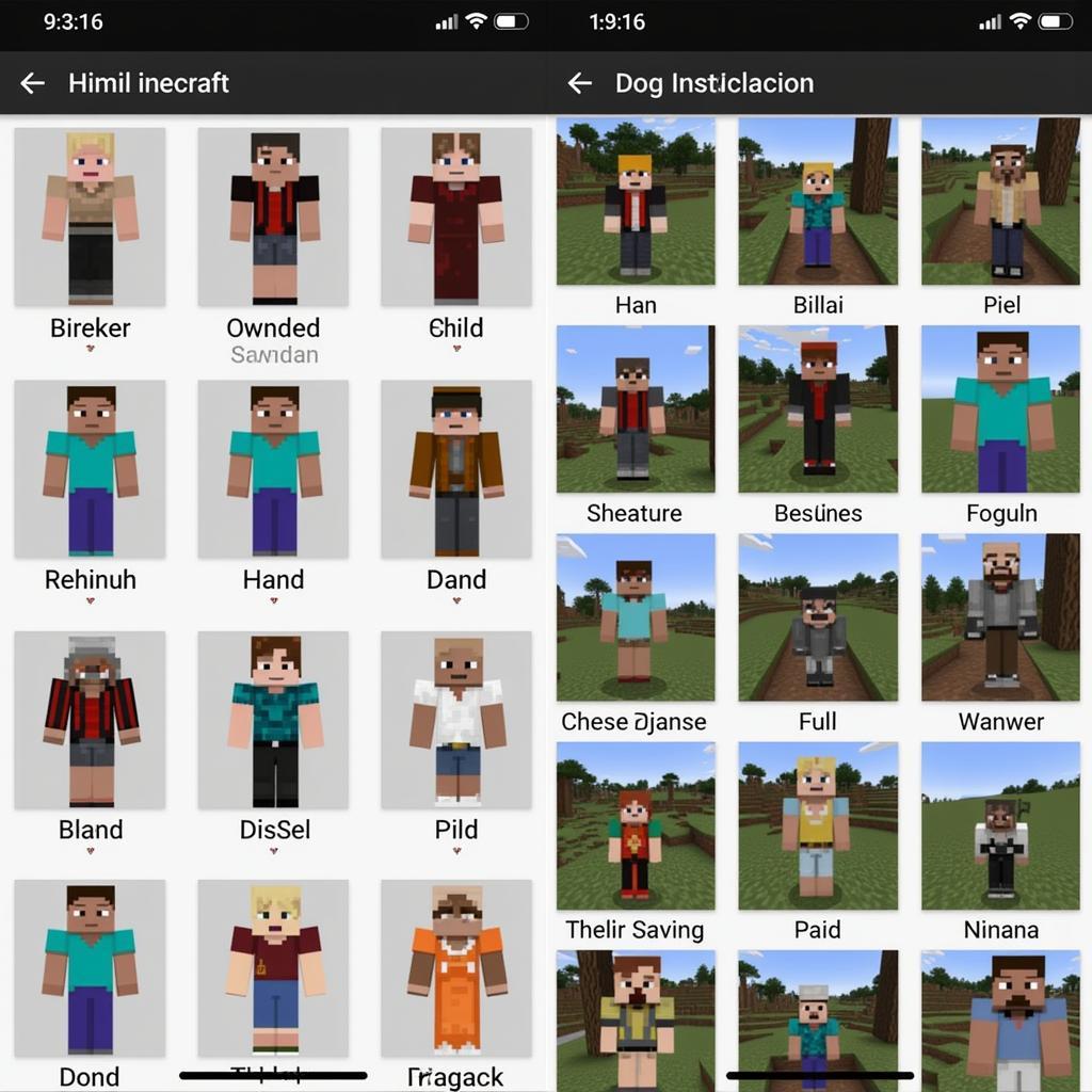 Minecraft PE Skins Displayed on an iOS Device