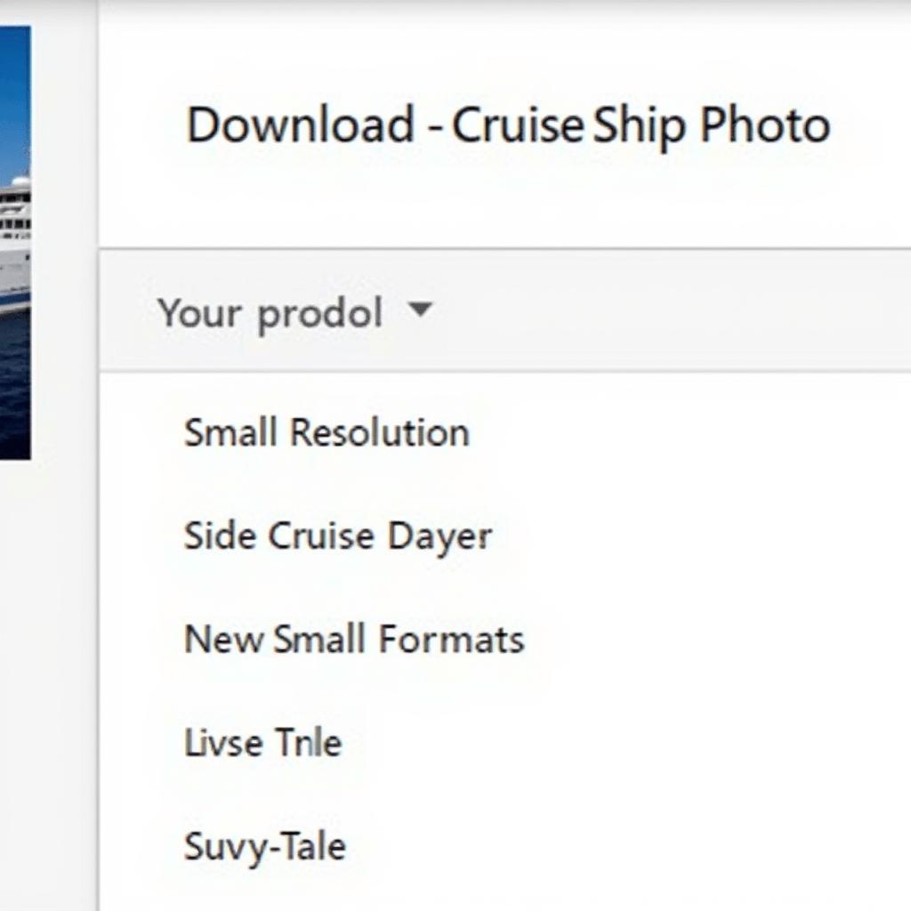 MSC Photo Resolution Options