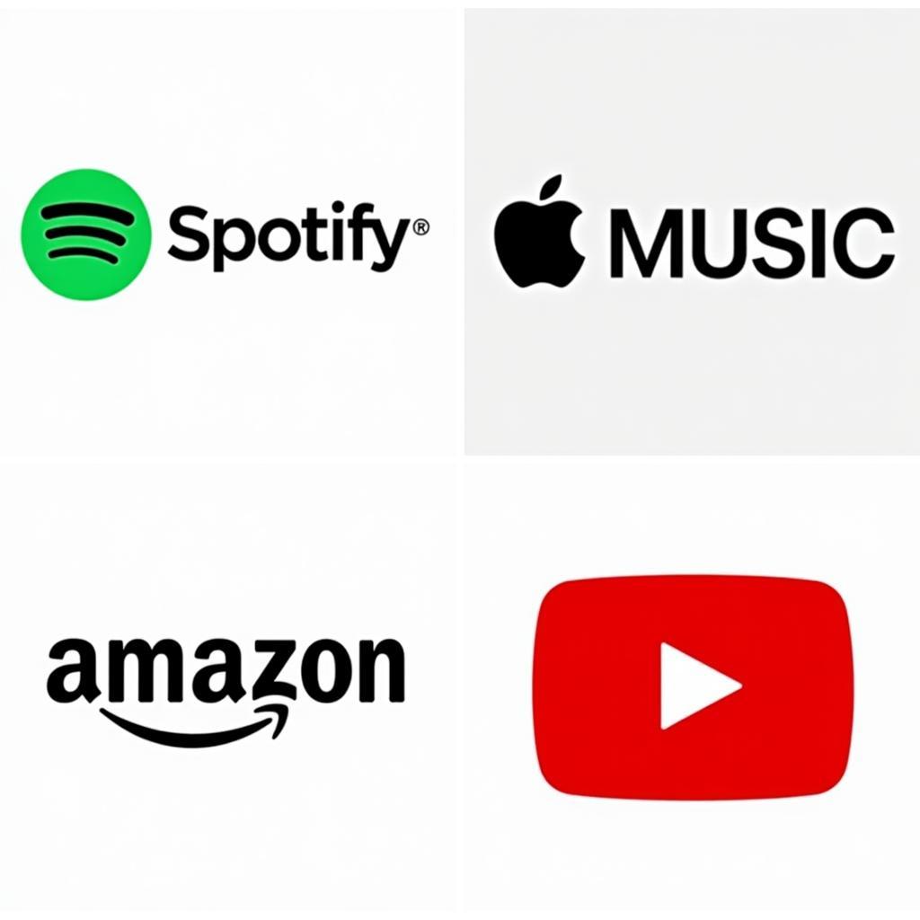 Music streaming platforms