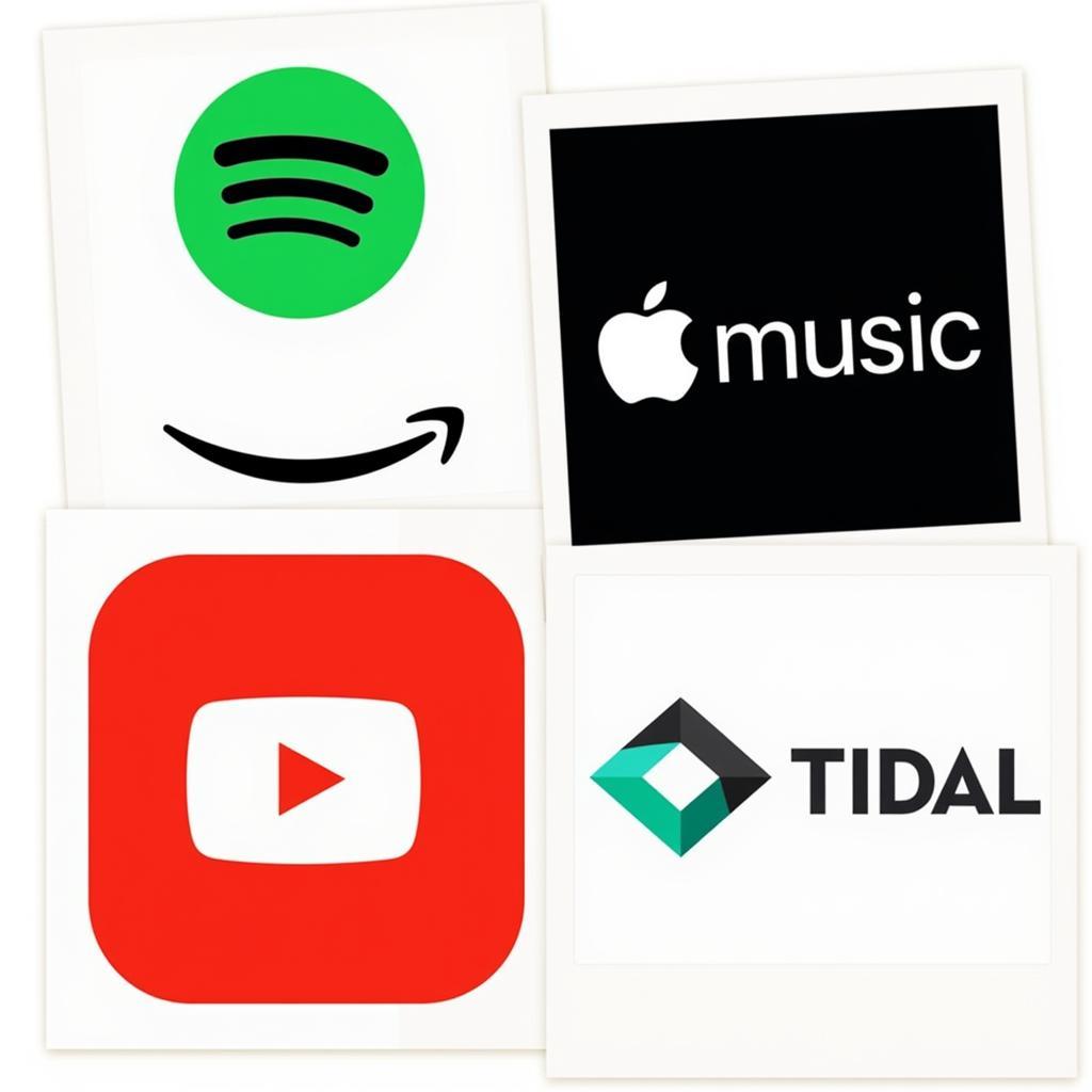 Popular Music Streaming Platforms