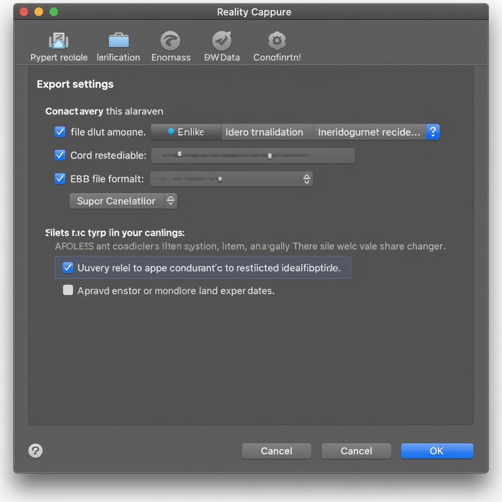 export-settings-reality-capture