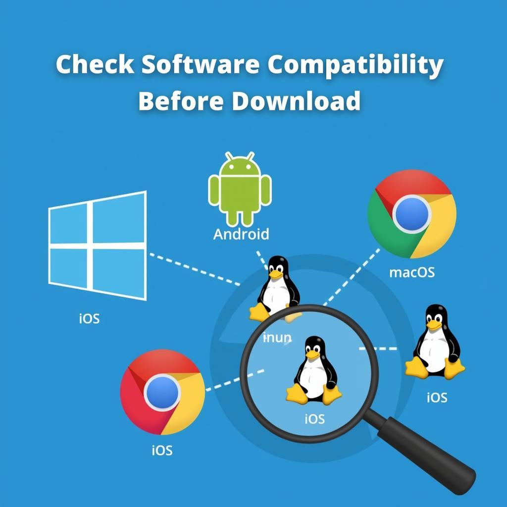 Software Compatibility