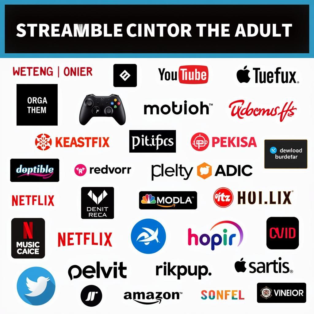 Streaming Platforms