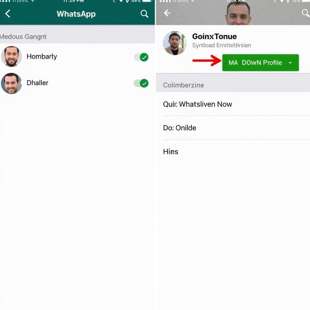 WhatsApp Profile with No Download Button