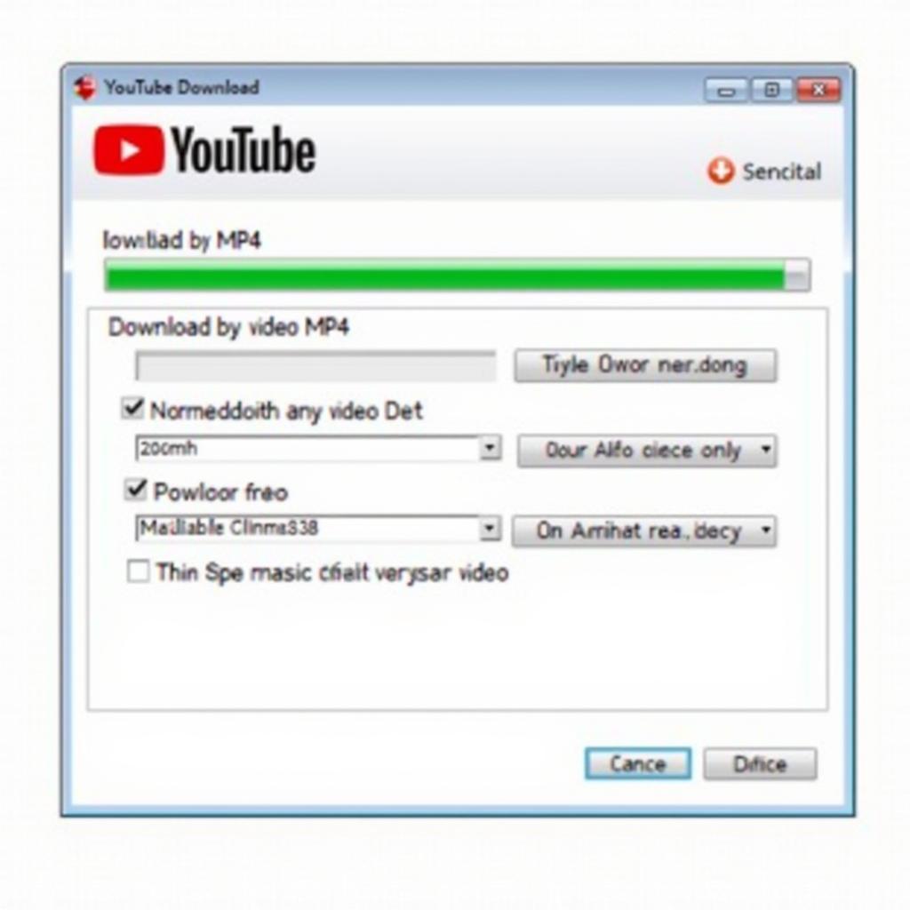 YouTube Downloader Software