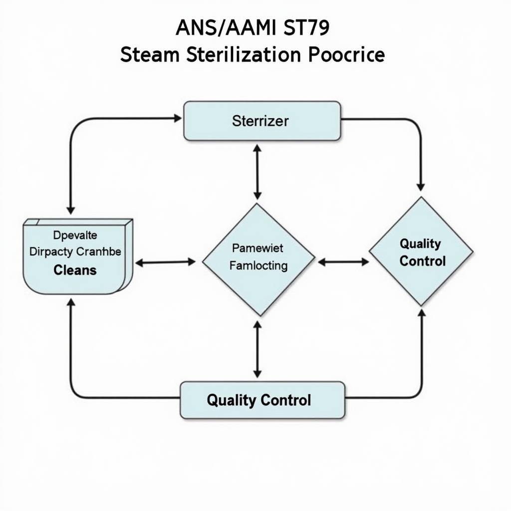 ANSI/AAMI ST79 Steam Sterilization Process Illustration