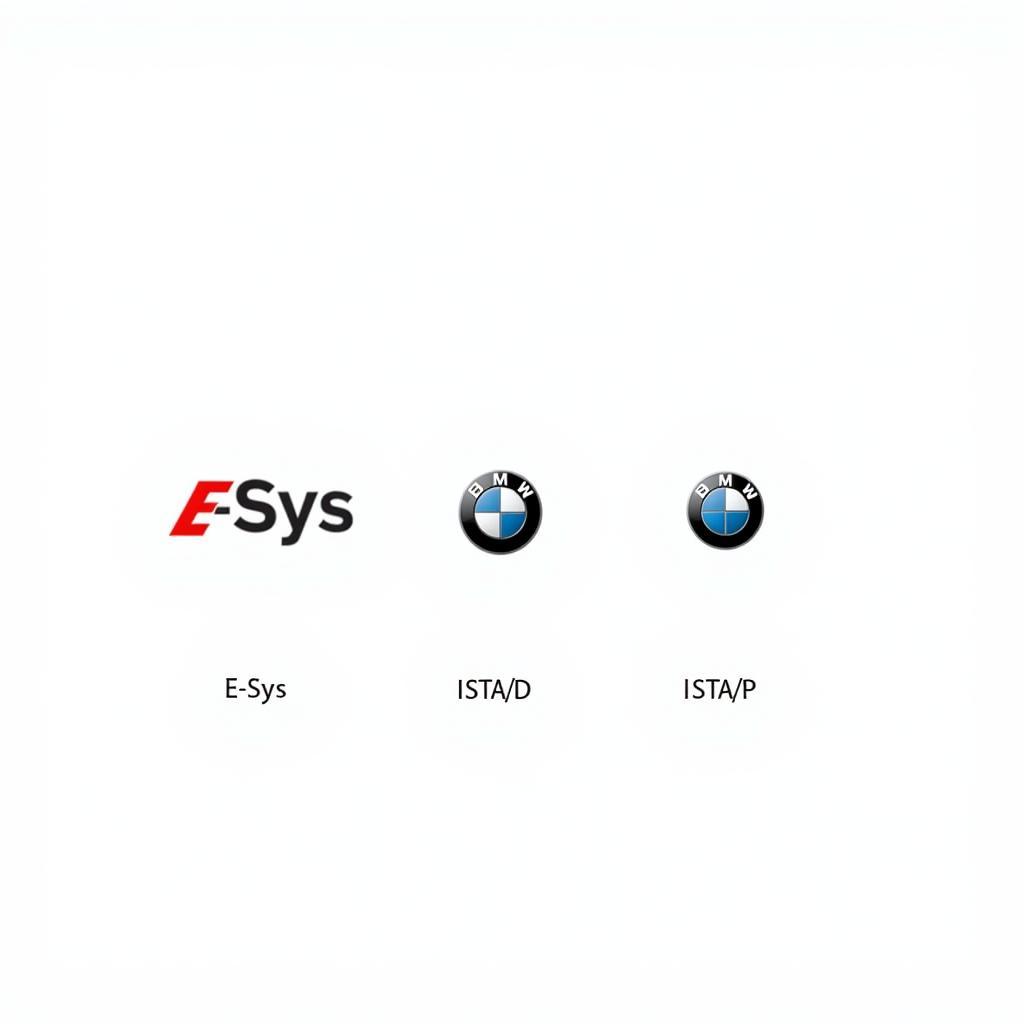 BMW Coding Software Options