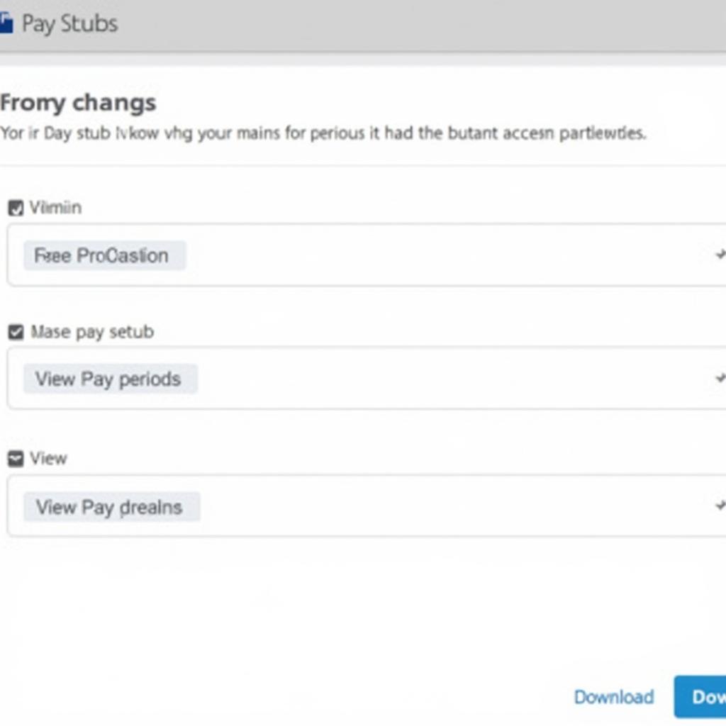 Dayforce Pay Stub Section