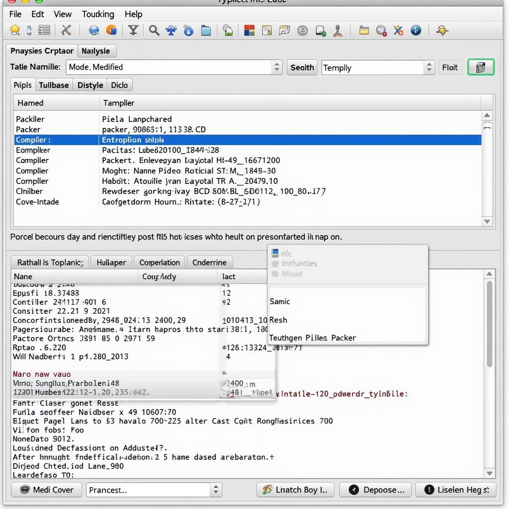 Detect It Easy Analysis Results Example