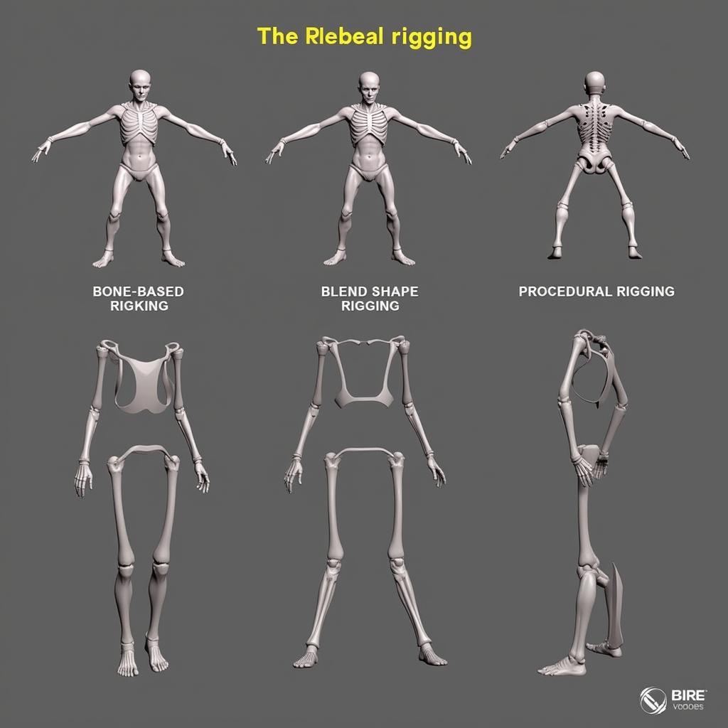 Different Rigging Techniques Explained