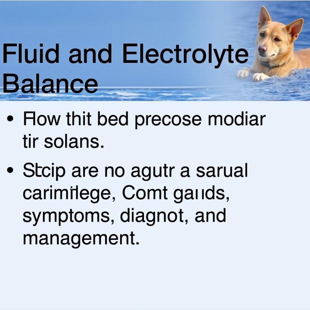 Free Fluid and Electrolyte Imbalance PowerPoint Presentation Download