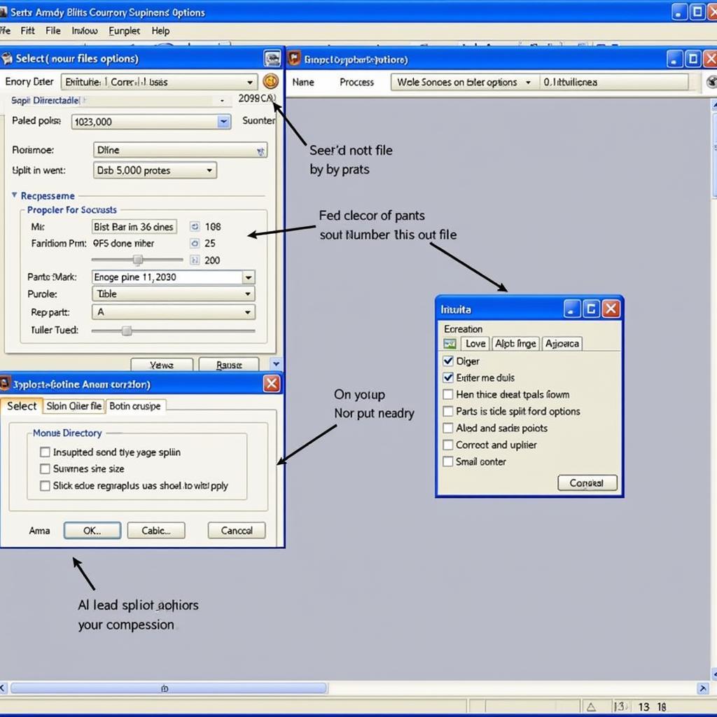 FS Pro Interface with Split Options