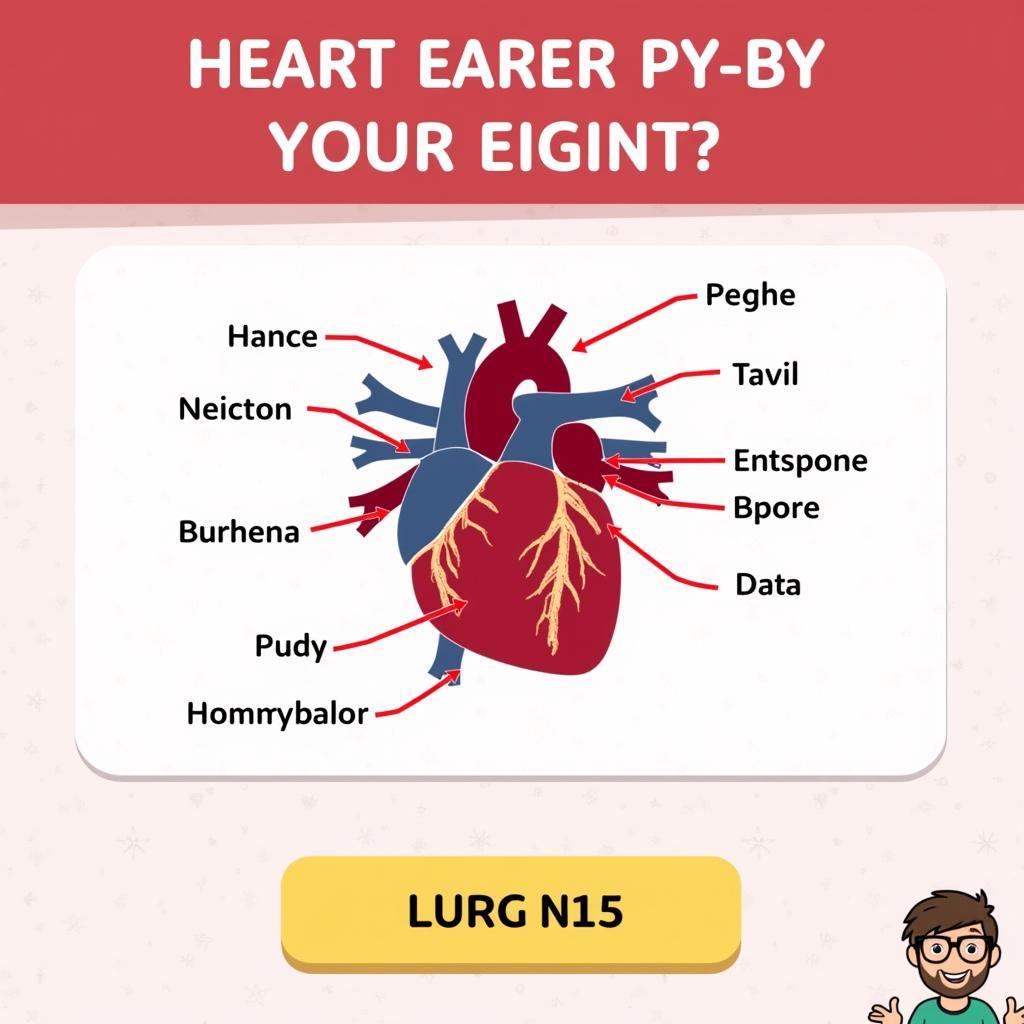 Heart Anatomy Quiz Game Download