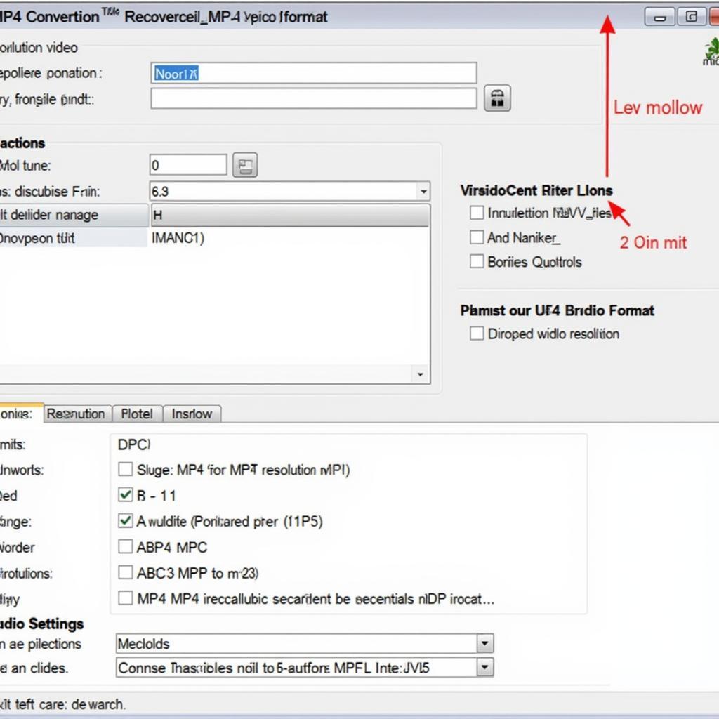 MP4 Converter Features