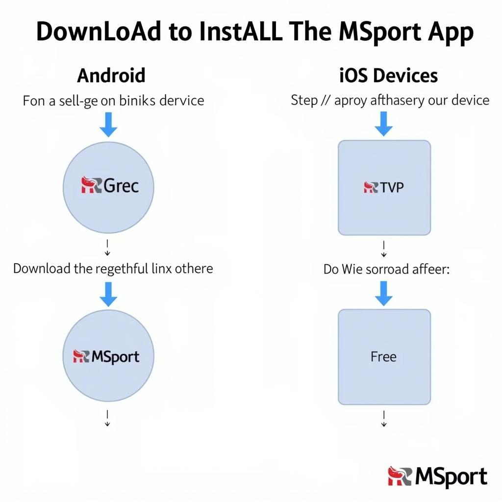 MSport Download Process