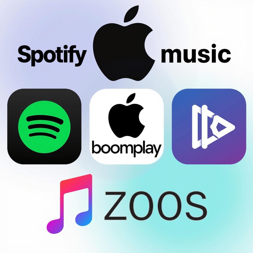 Music Streaming Platforms