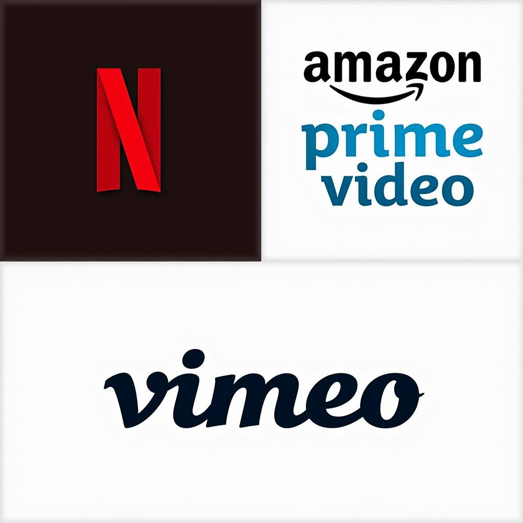 Streaming Services for Short Films and Documentaries: Netflix, Amazon Prime Video, and Vimeo