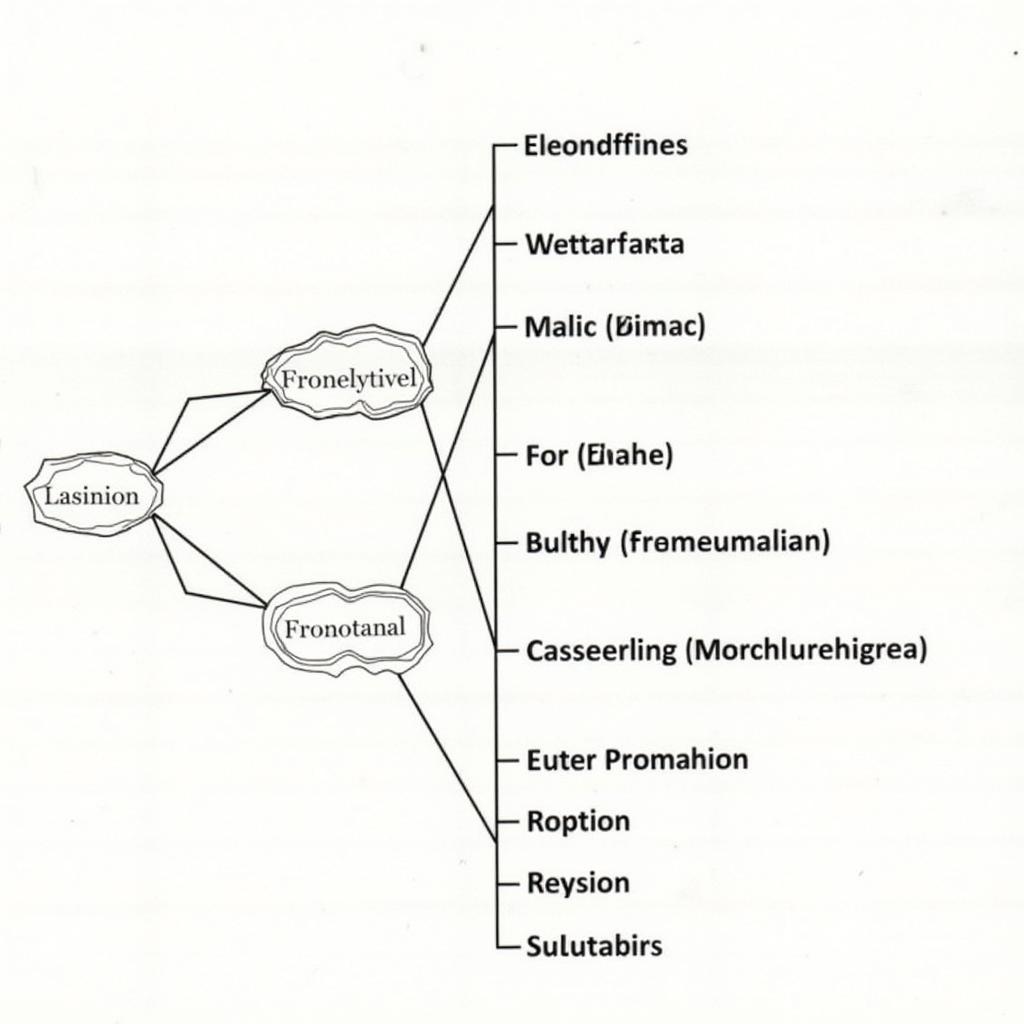 Vertebrate Phylogenetic Tree Diagram