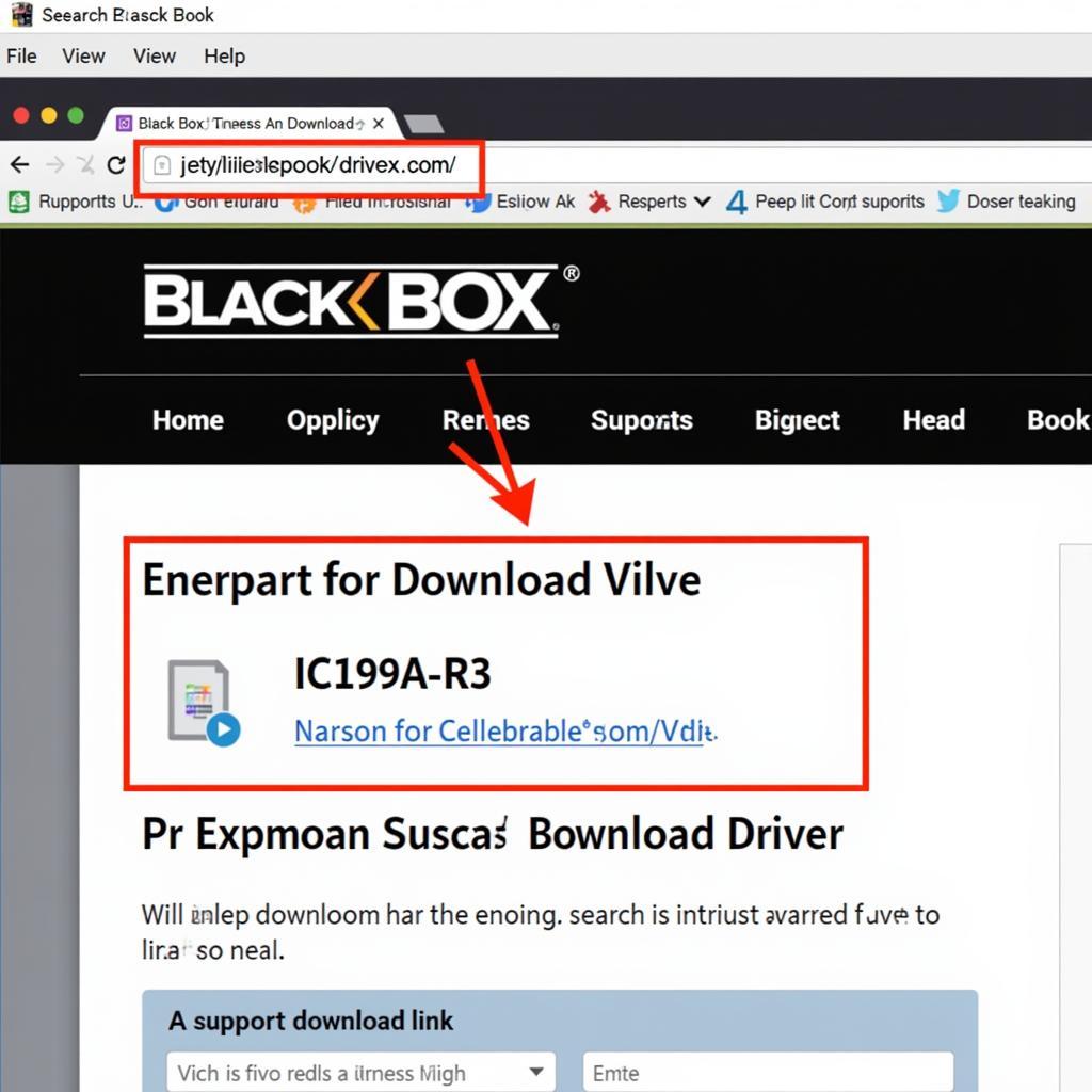 Black Box Website Driver Download Page