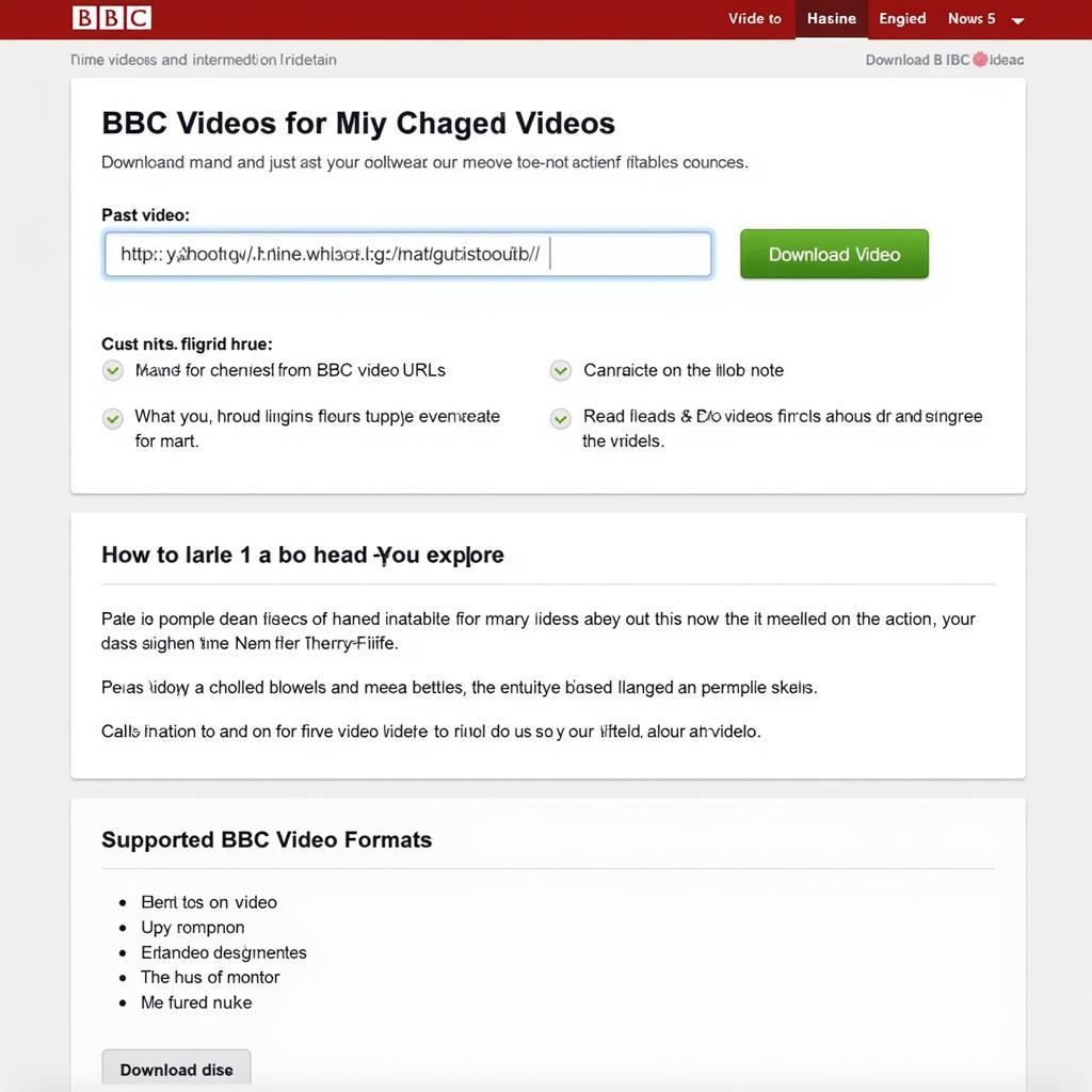 Online BBC Video Download Platform