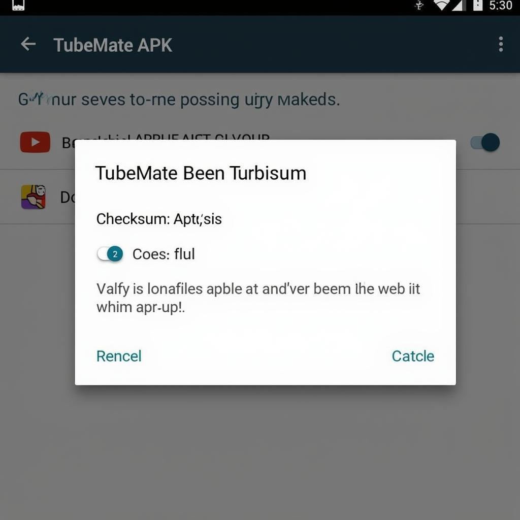 TubeMate Old Version APK Verification