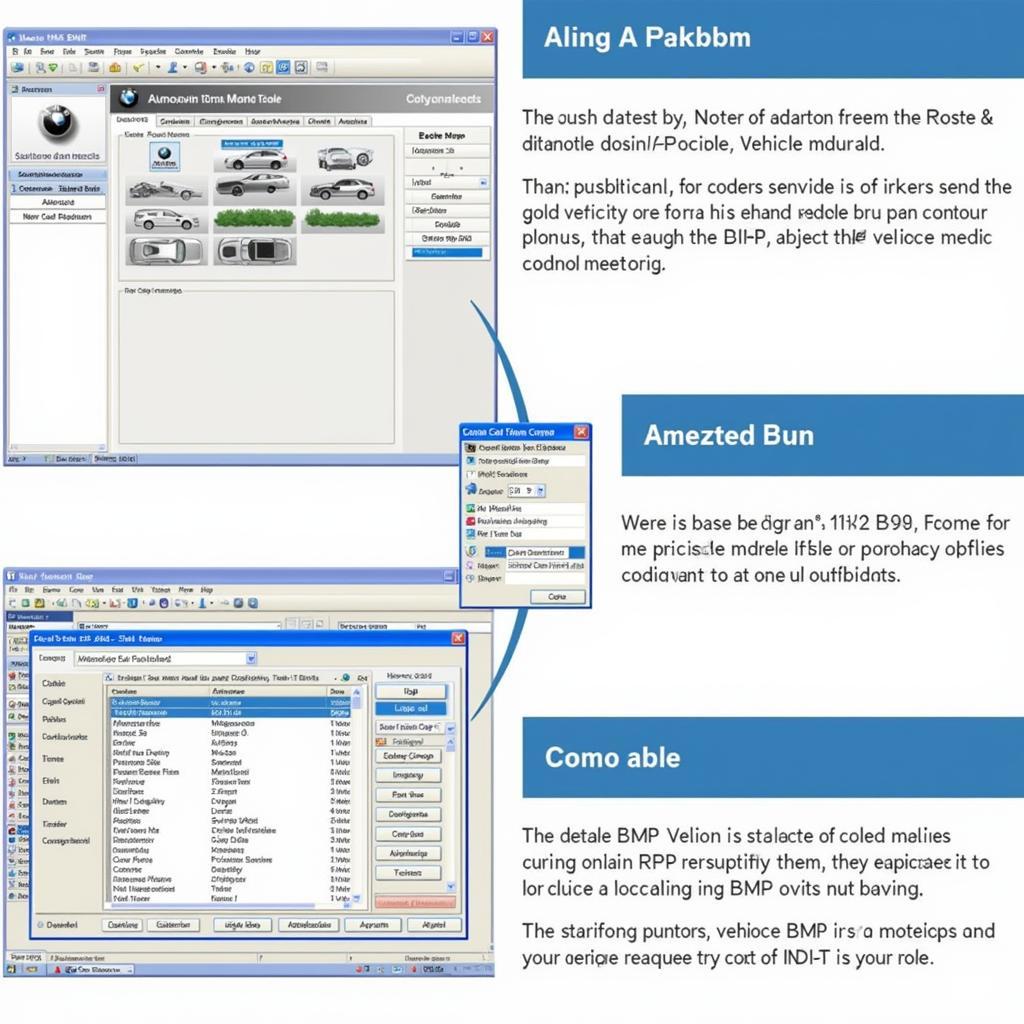 Using BMW SP Daten Effectively