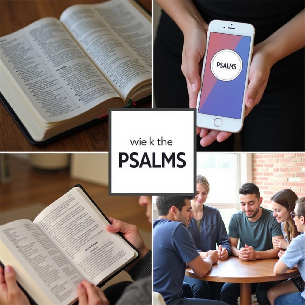 Exploring Different Approaches to Using the Psalms