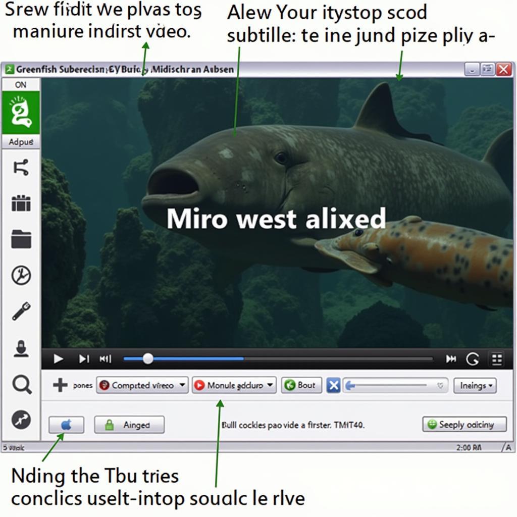 Greenfish Subtitle Player Interface