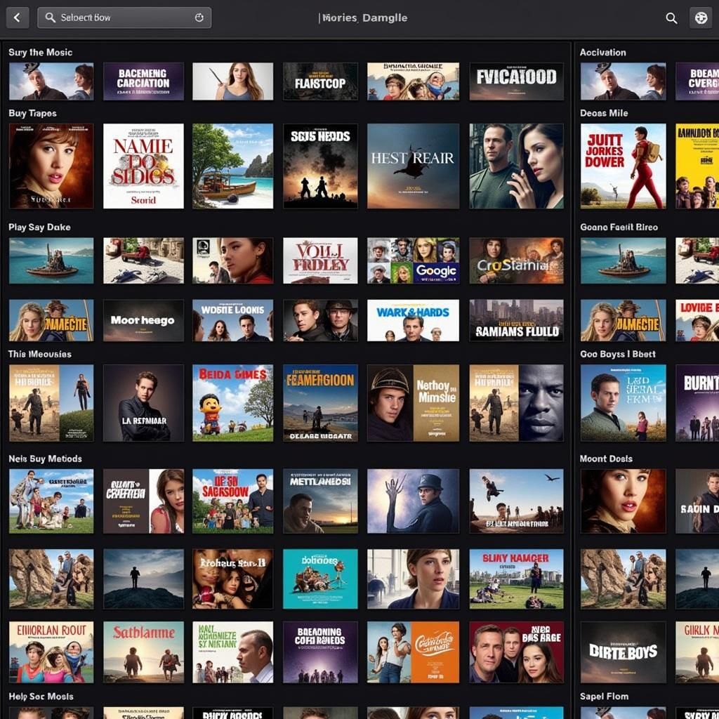 Managing Your Downloaded Movie Library