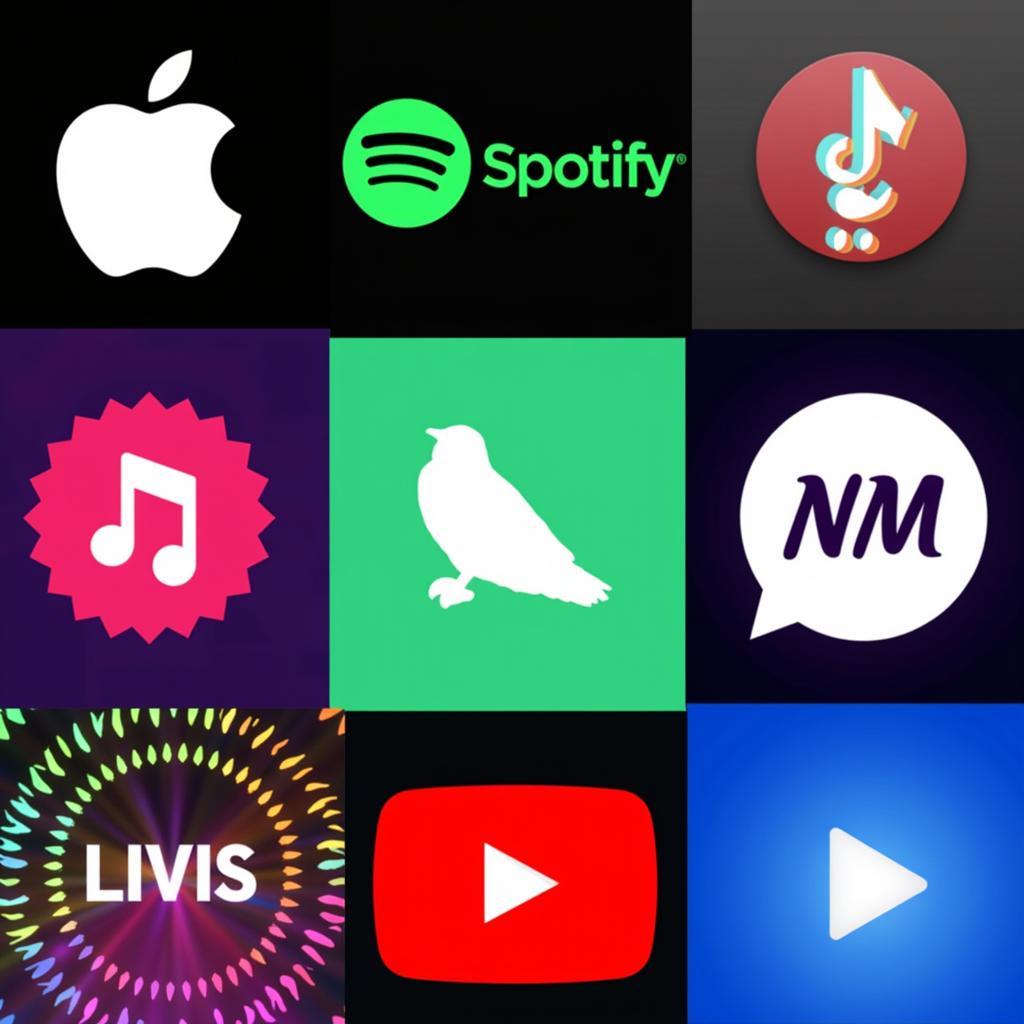 Music Streaming Services