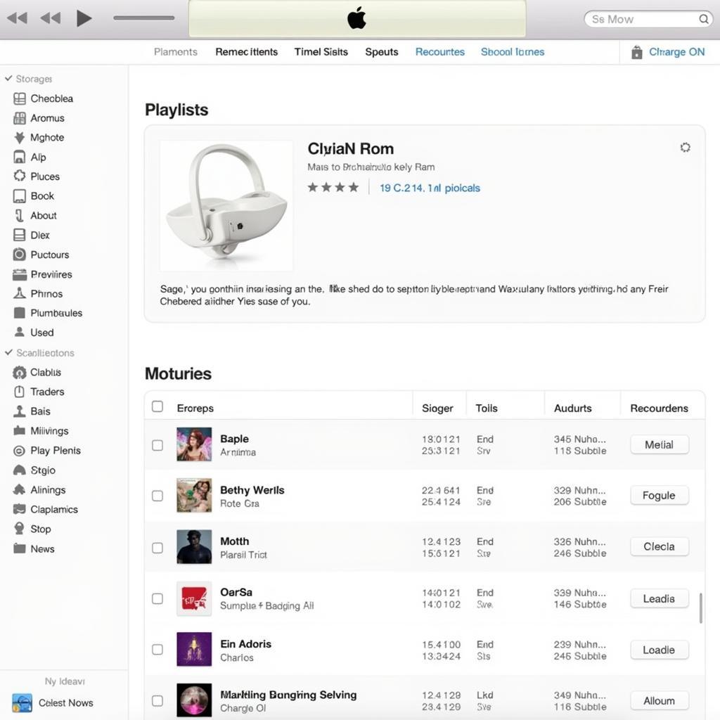 Organized iTunes Library