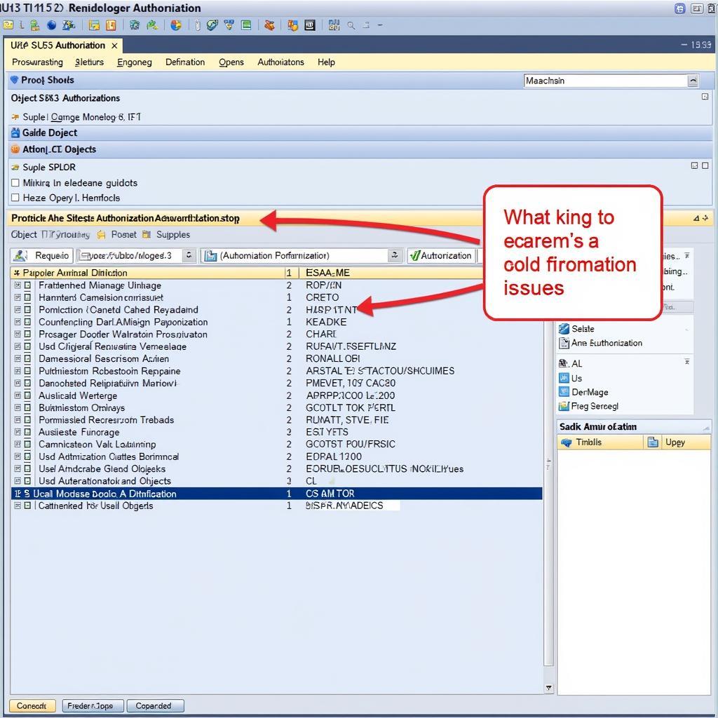 SAP Authorization Troubleshooting