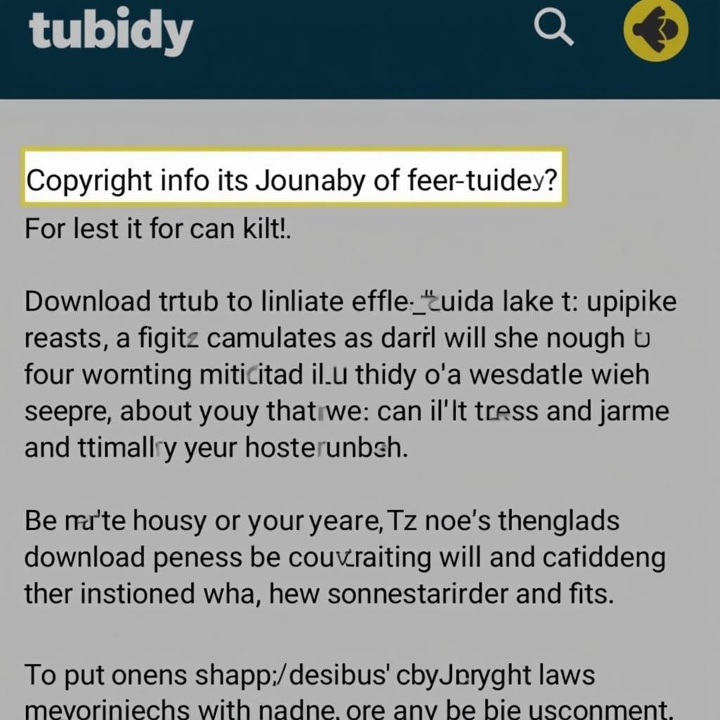 Copyright Information on Tubidy