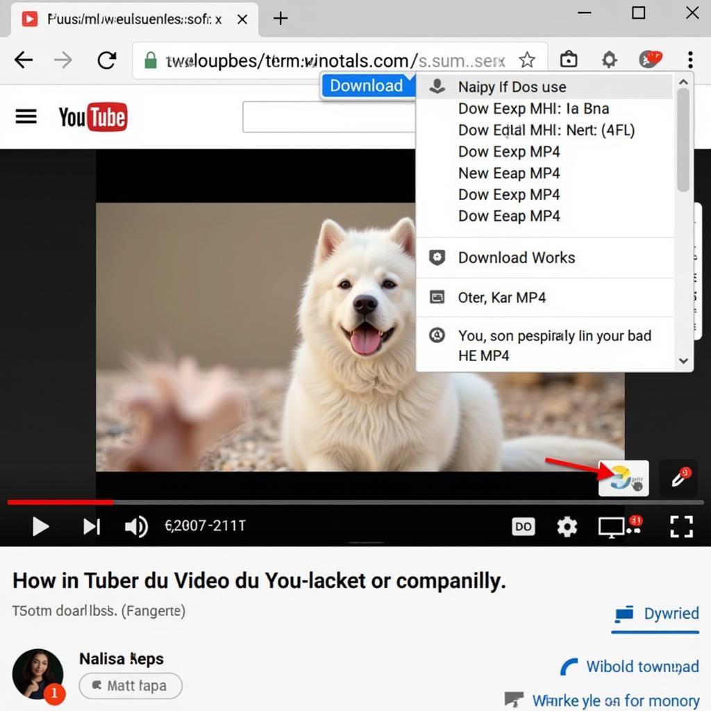 Using browser extensions for downloading youtube videos