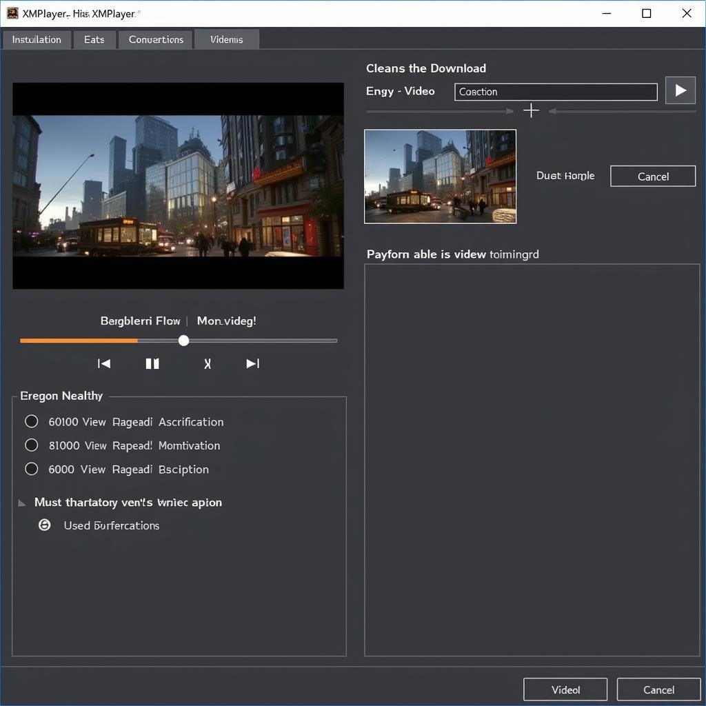 XMPlayer Download Interface